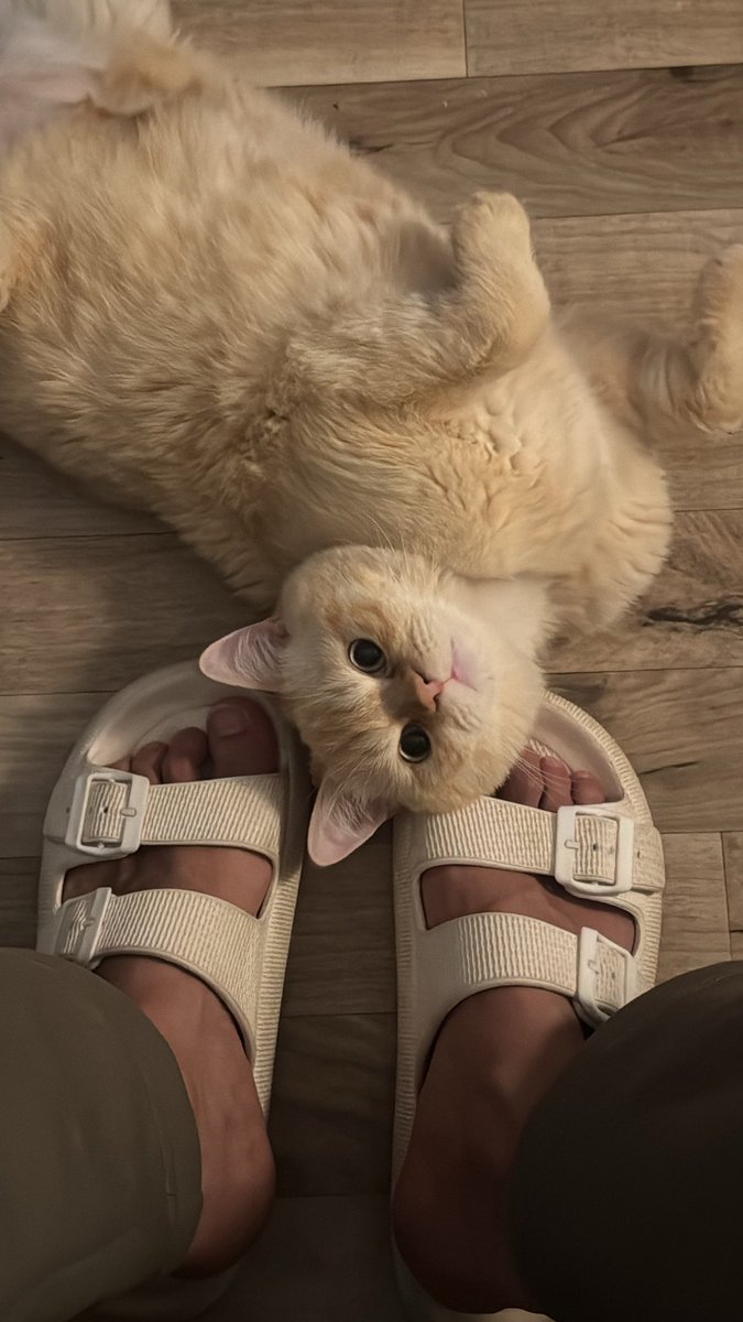 iif2z's tweet photo. 🐈‍⬛|✏️|☕️ https://t.co/NPC3CfU1LA