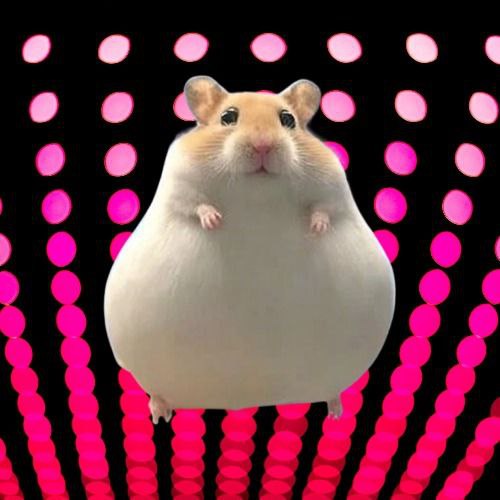 imkrll's tweet image. Chubbington