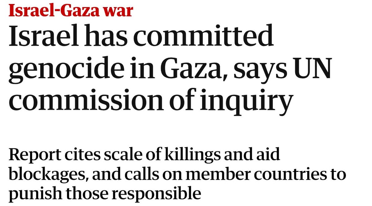 Politic sucks. Most of us just want to live our lives and focus on the good things and keep to ourselves and close ones. But it's (finally) official. There is a genocide happening and we have a collective, moral duty to not stand by this. This is important and we cannot allow it.