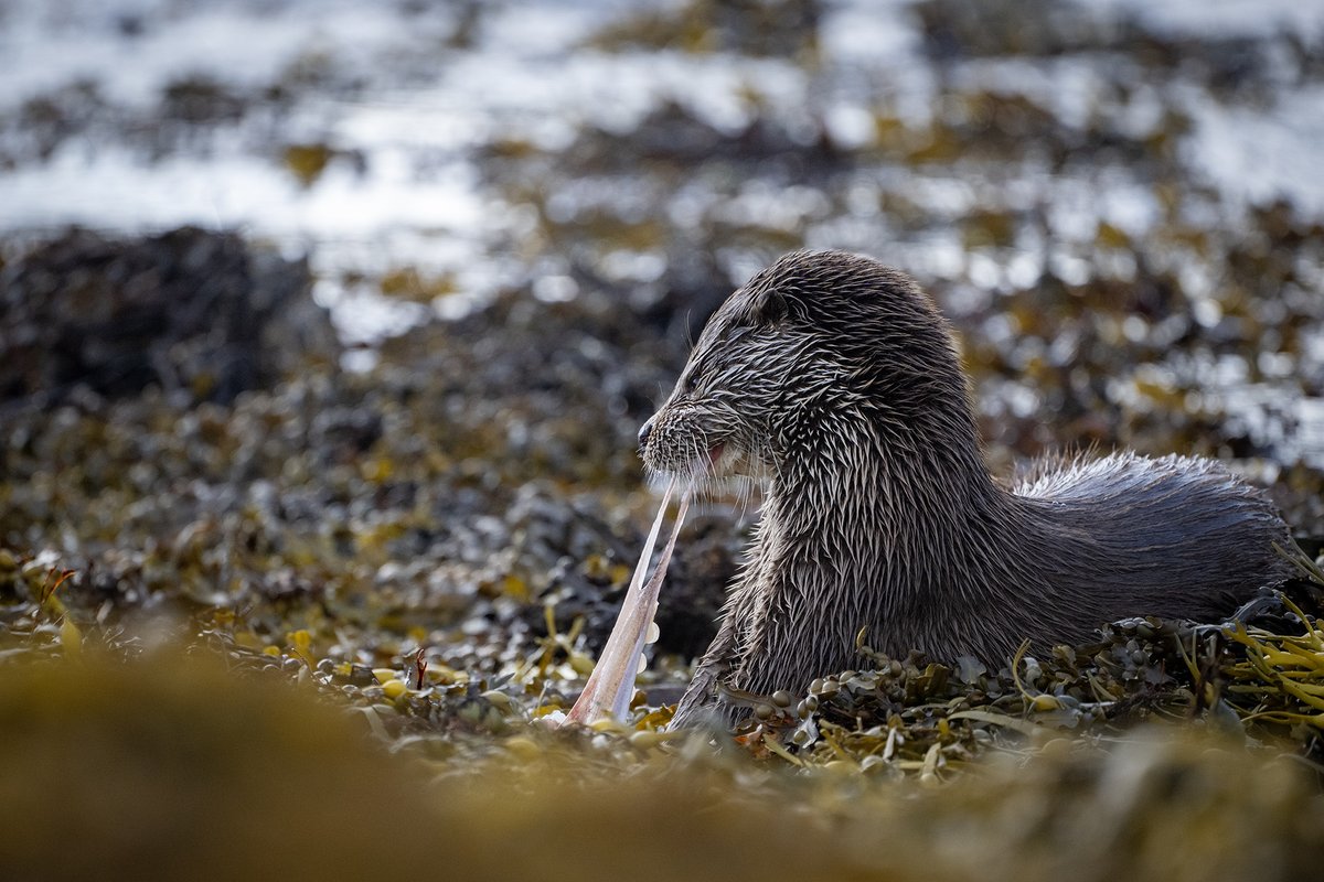 John Moncrieff tweet media