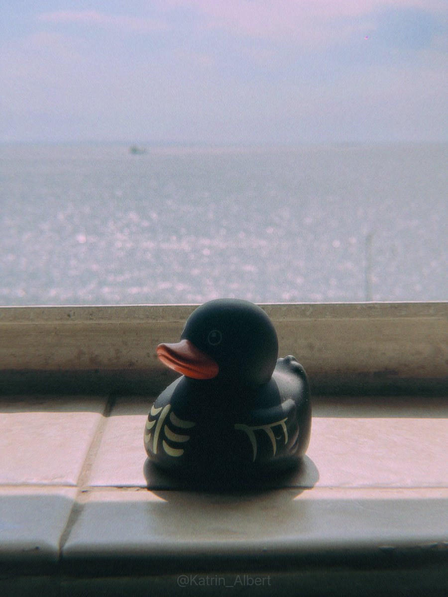 Теперь у меня есть уточка