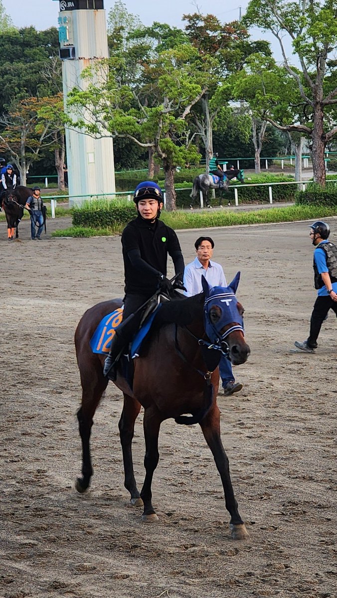 yuma_hisamitsu's tweet image. 長浜鴻緒、美浦に戻っております🐴先週末から調教騎乗に復帰しており、順調であれば、来週に競馬での復帰も叶うようです😊

 #長浜鴻緒
 #おかえりなさい
 #映り込み系ジョッキー