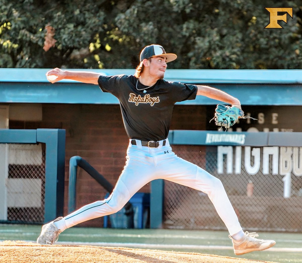 5 Star National Virginia tweet media