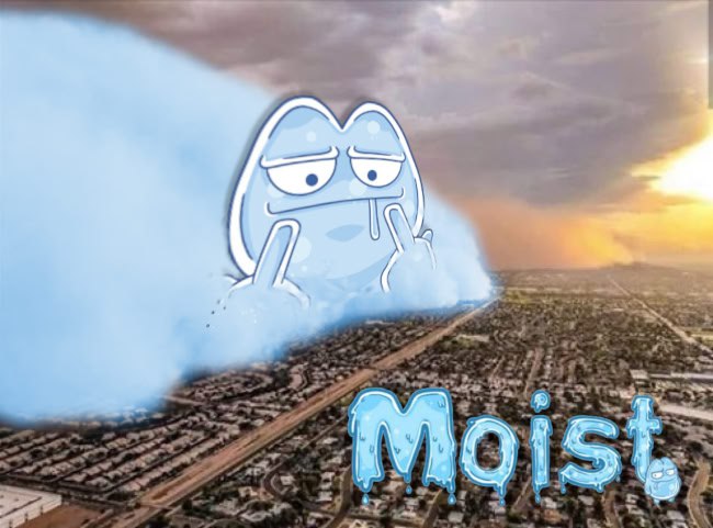 <a href="/ruggiespizza/">RuggiesPizza</a> <a href="/TinHat_Cat/">The Tin Hat Cat</a> <a href="/indi_sonic/">$INDI</a>