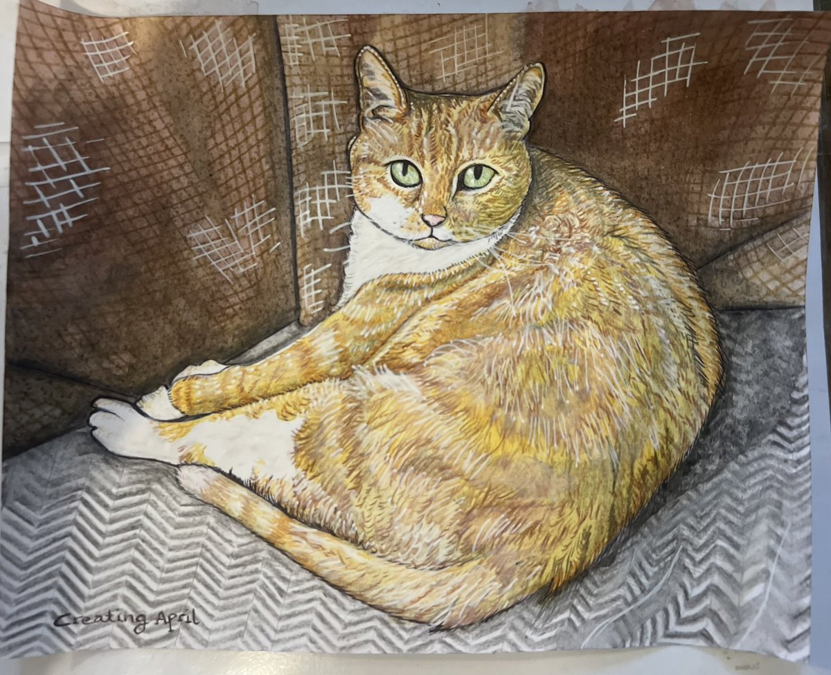 CreatingApril's tweet photo. Really pleased with how this feline friend turned out, especially as I’m still struggling with my head injury ♥️

After a trying year I’m embracing this win 😊

#petportrait #cat #catartwork #petportraitartist #madewithlove #petportraitsofinstagram #catart https://t.co/gyUNh7y6x0
