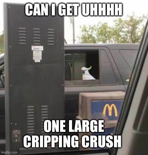 All these new auras got me like