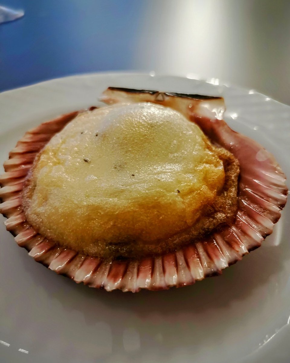 🖤 Zamburiñas gratinadas con trufa negra de Aragón: prepara salsa con 1 cucharada de mantequilla, 100 ml de nata para cocinar y trufa rallada. Pon 8 zamburiñas en bandeja, añade salsa, cubre con queso y gratina 5-7 min a 200º. ¡Un bocado elegante y lleno de aroma! ✨🦪