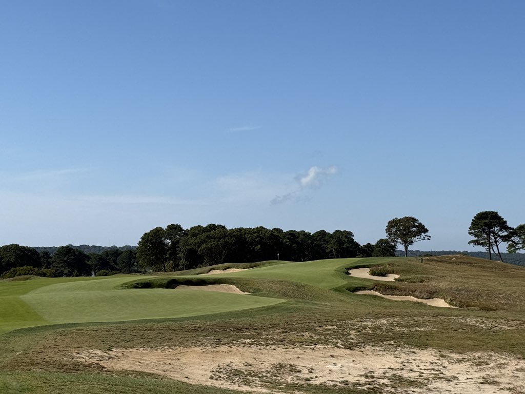 Rick Golfs tweet media