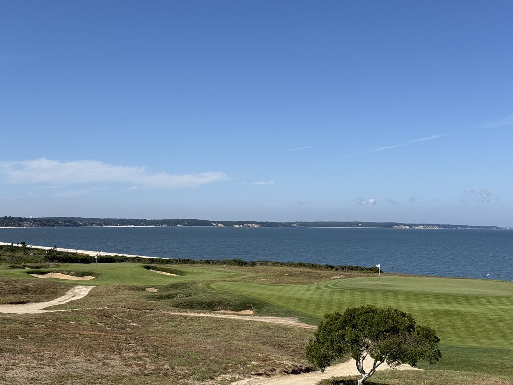 Rick Golfs tweet media