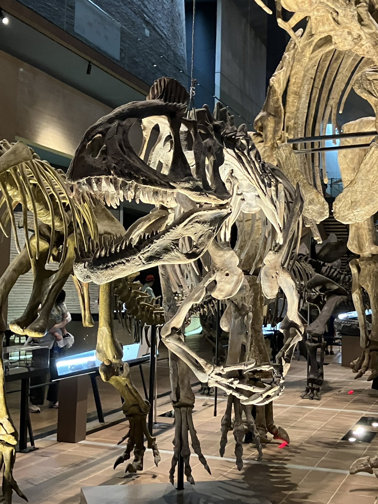 ♡オーダー♡木の恐竜☆名前入り☆ 木製おもちゃ 恐竜(きょうりゅう） - motto #推し #推し活 #推し