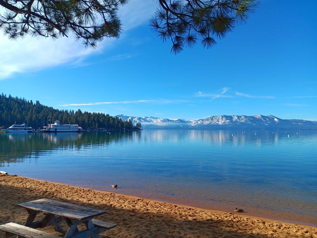samer31h's tweet image. عبالي إعمل #paddleboarding #kayaking  بهيك محل وview🥰🥰