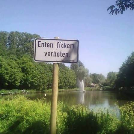 meine freiheit…