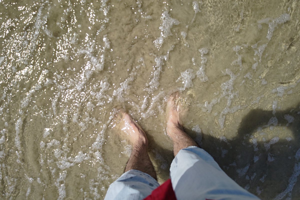 ふぉれ2nd tweet media