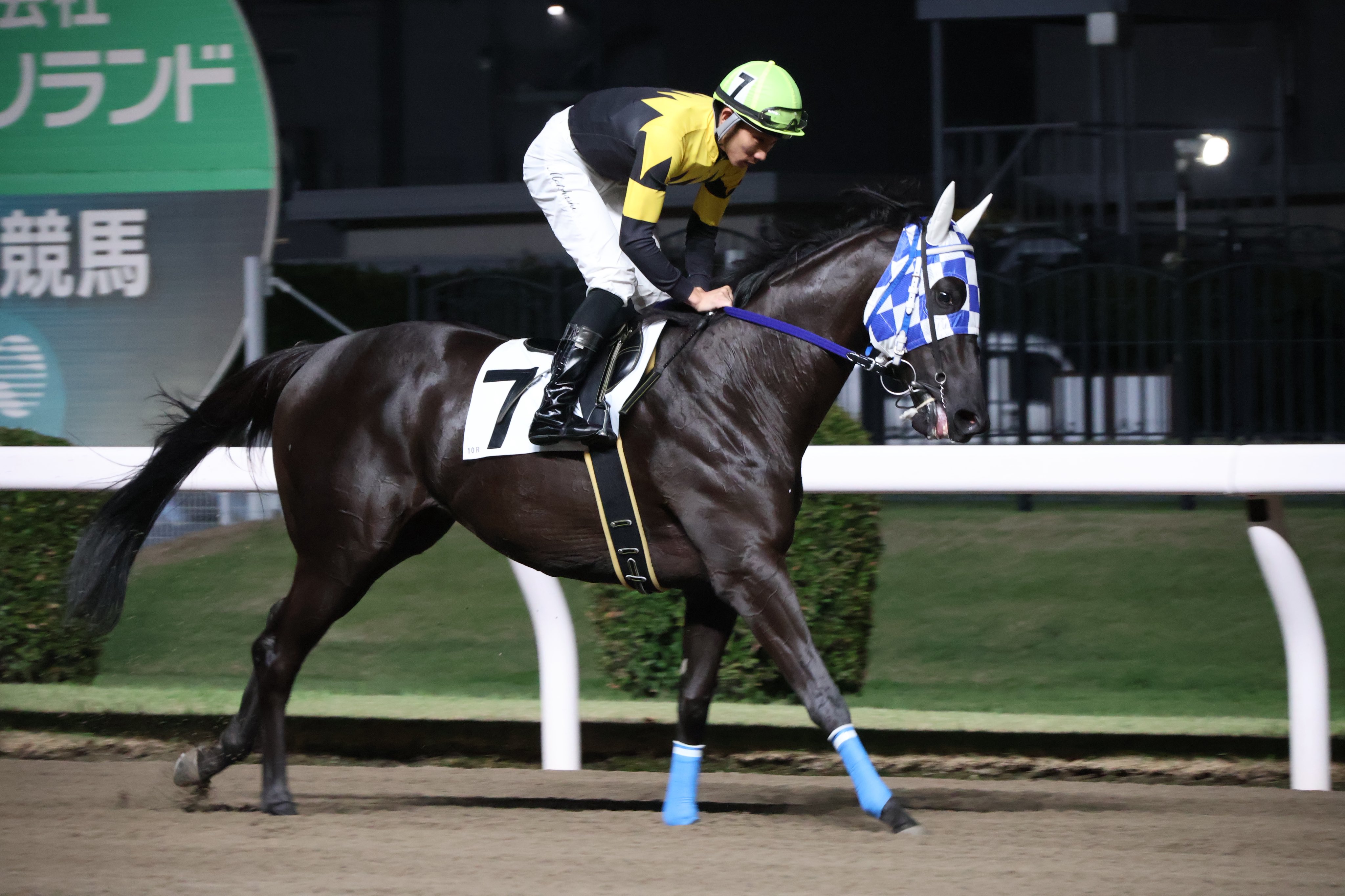 競馬 鎌倉記念 | 未来優駿2025 | シリーズ競走特設サイト - RACE