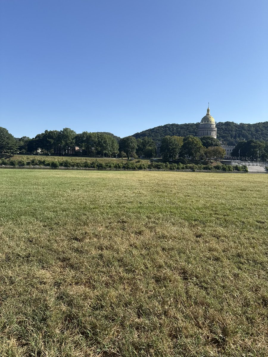 Colson Elswick tweet media