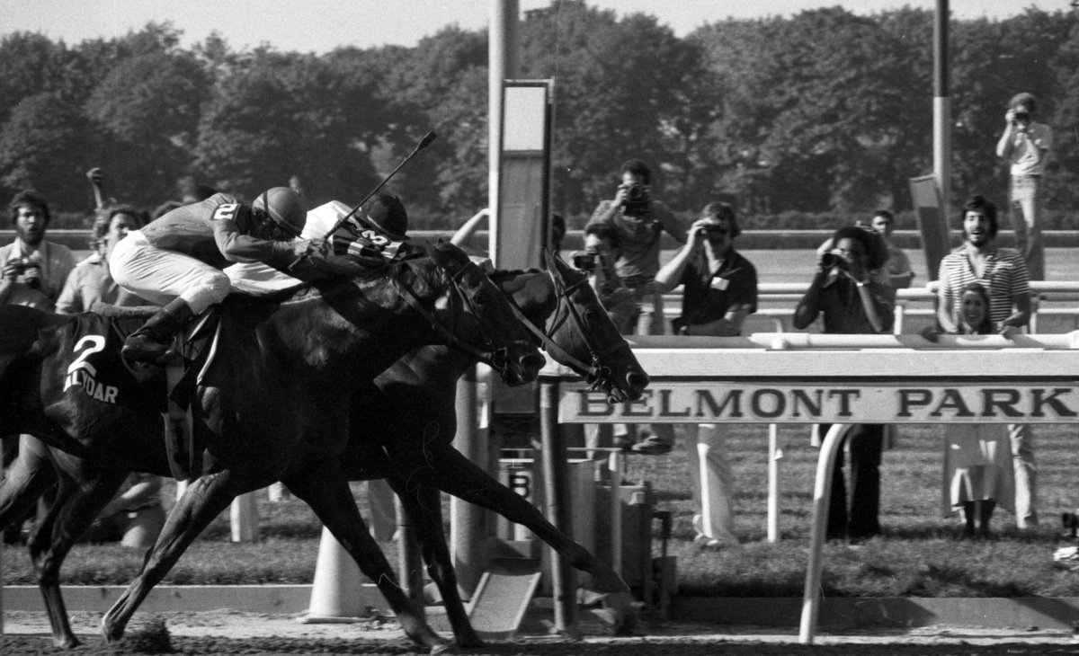 I'm ON TOUR WITH DEAD WRITERS today at Belmont Park racetrack in New York where this famous author liked to go for entertainment. Check out the story and guess who this author is for a chance to win a novel at www.roguewomenwriters.