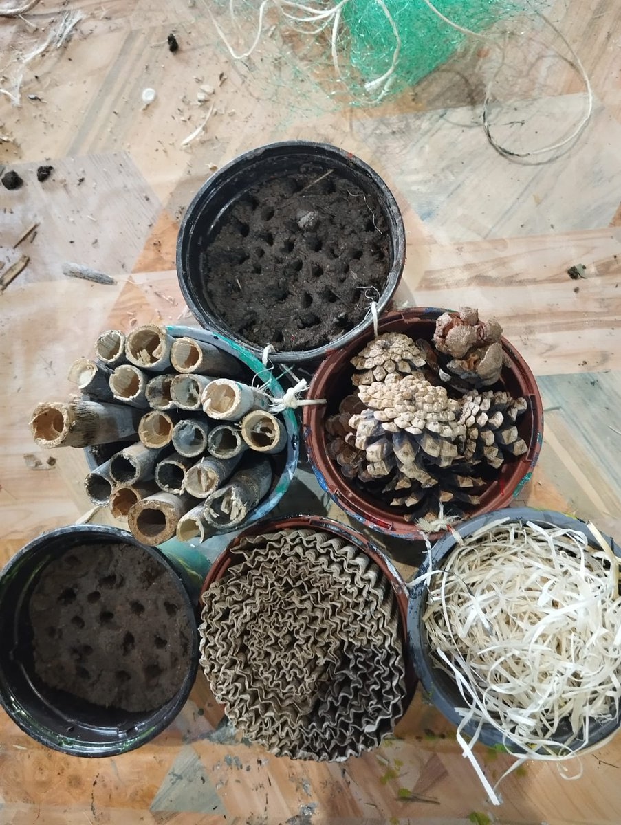 Este fin de semana lo dedicamos al mundo de los insectos.🐝🦋
· Sábado: Hablamos sobre familias y clasificaciones y observamos en el recorrido posterior. 🦋🌿🔬
· El Domingo: Realizamos hoteles para favorecer la polinización y el control de plagas, mejorando la biodiversidad.🪲🌼