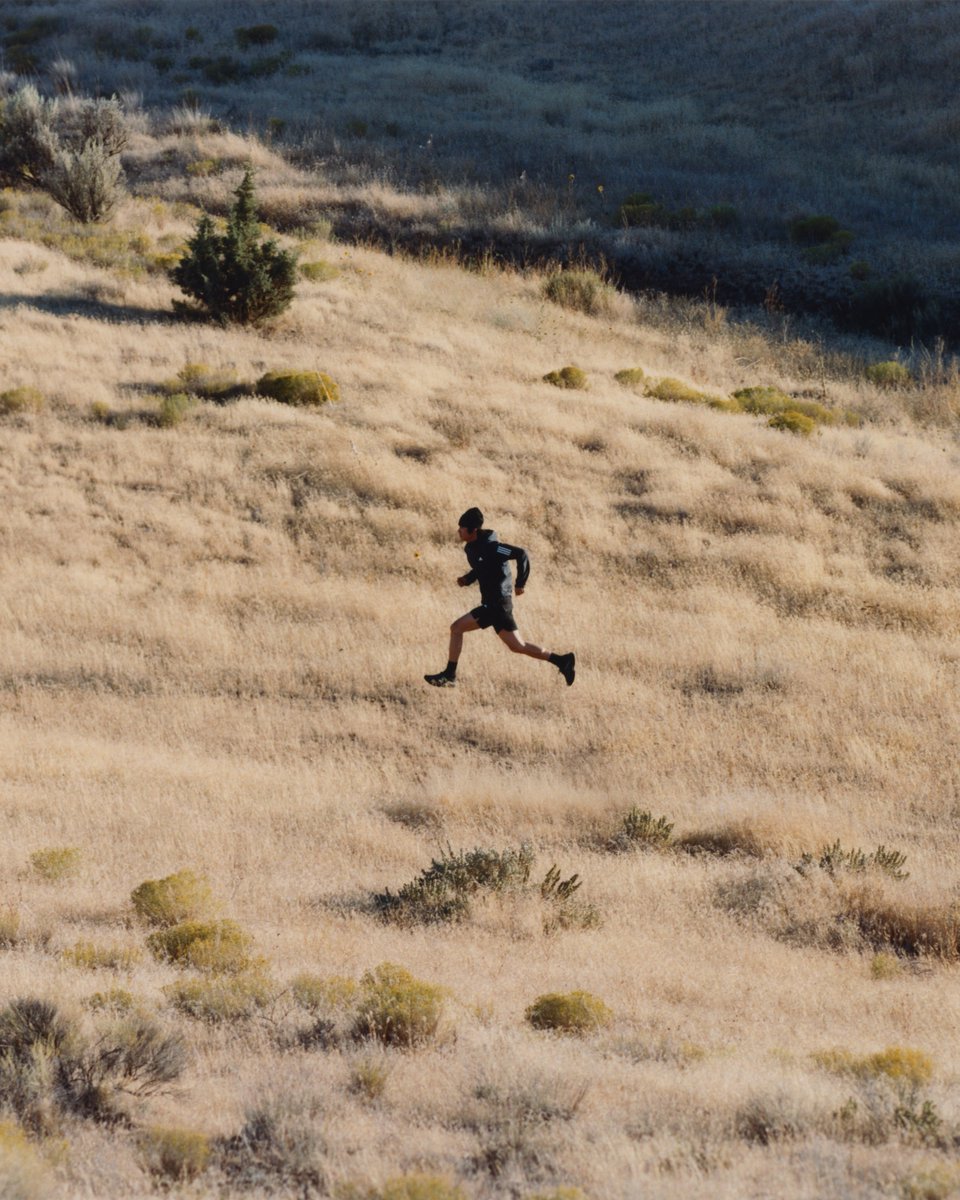 Humanrace tweet media