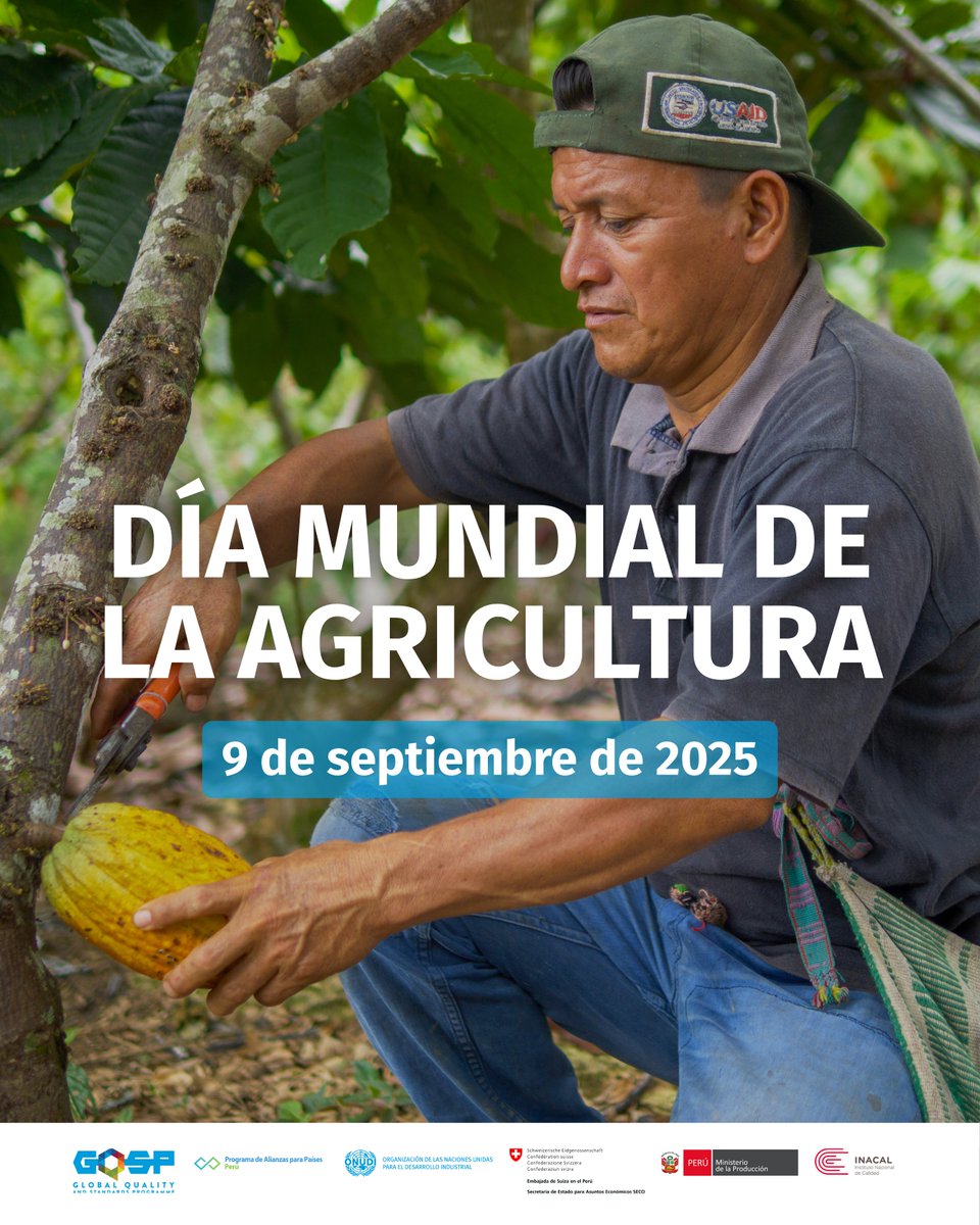 🌱 En el #DíaMundialDeLaAgricultura reconocemos el trabajo de las y los agricultores peruanos, base de la seguridad alimentaria y del desarrollo sostenible.

Juntos, fortalecemos sus capacidades para mejorar la calidad de sus productos y alcanzar reconocimiento internacional. 🤝
