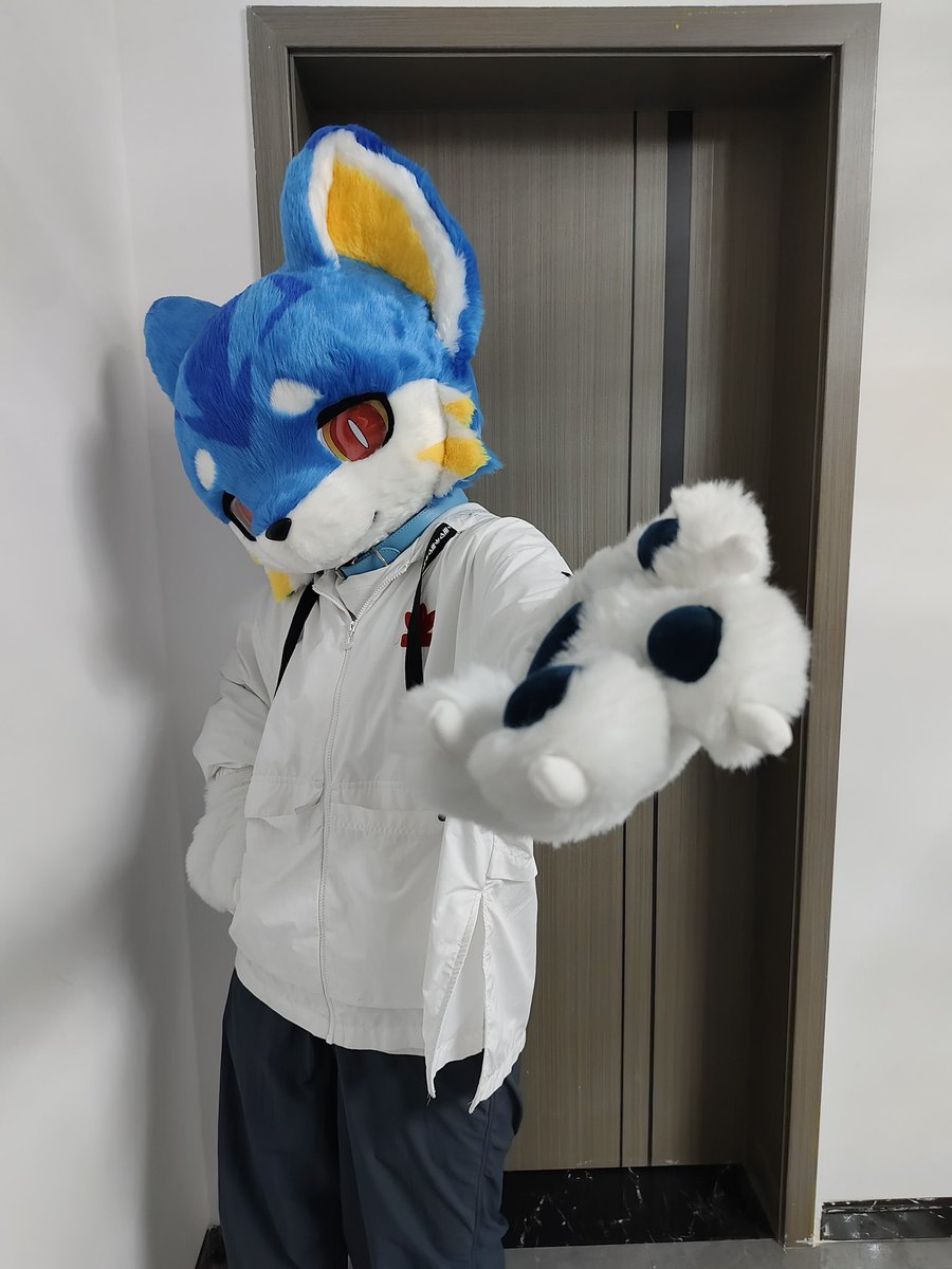 New premade kemono head!!
#fursuit #furry #kemono