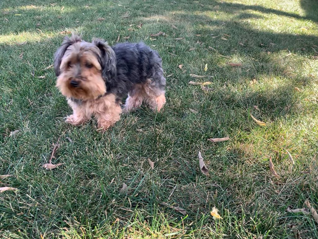 Cooper is enjoying the fantastic stretch of crisp autumn weather, two weeks before the official start of fall. Typical of September, we will flip back to a summer-like pattern during the second half of the week, minus the humidity. <a href="/nbc4i/">NBC4 Columbus</a>