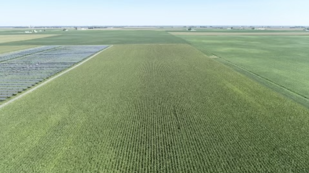 CommonGround_Ag's tweet photo. 144-Acre Farm Lease in LaSalle County, IL Available for a 3-year lease with recent yields averaging 218-222 bushels of corn and 68-70 bushels of soybeans. Soil and APH documents are available for review on CommonGround. For more information contact Dale Schlutz (563) 262-3823. https://t.co/vV6Aguh9dL