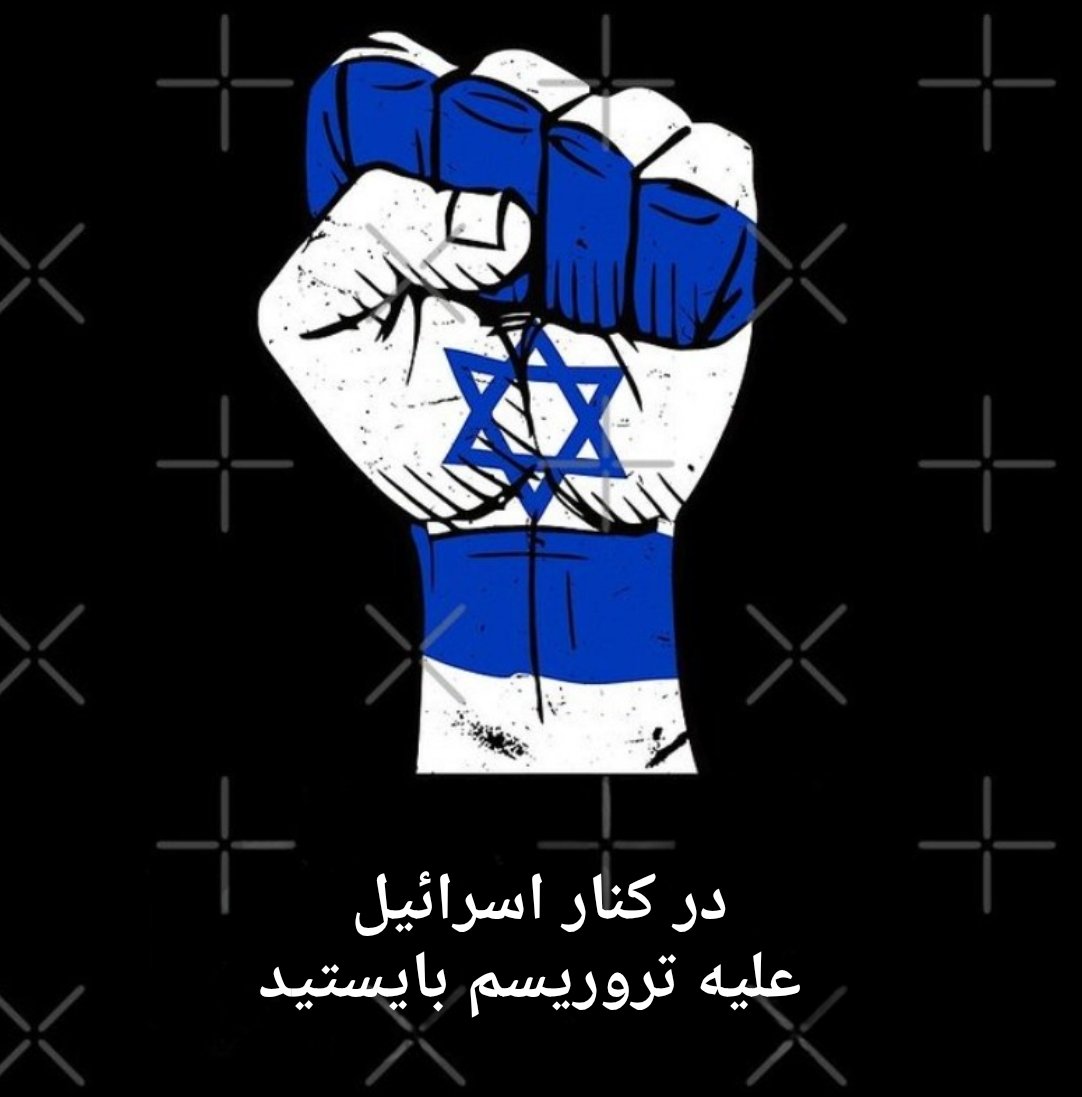 اسرائیل در برابر تروریسمی که جهان آزاد را تهدید می‌کند، ایستاده است.

ما انتظار تشکر نداریم، اما انتظار حمایت داریم.