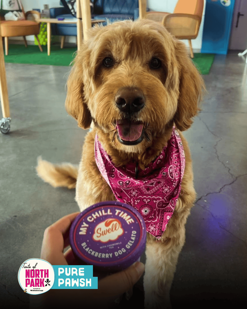 Explore North Park tweet media