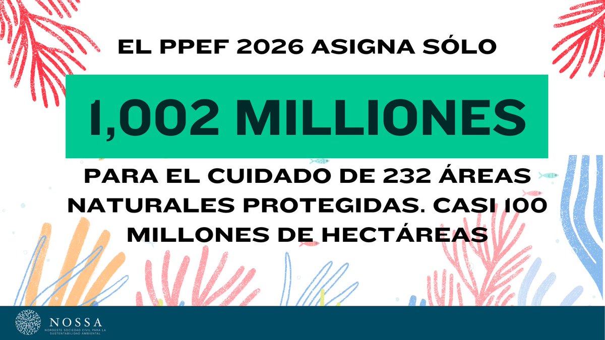 🚨 México incumple sus compromisos y en el #PPEF2026 asigna el presupuesto más bajo en 21 años para las áreas naturales protegidas (ANP).

Sin recursos suficientes, las ANP son sólo líneas en un mapa.

Aquí una muestra de la grave contradicción entre los discursos y los hechos👇