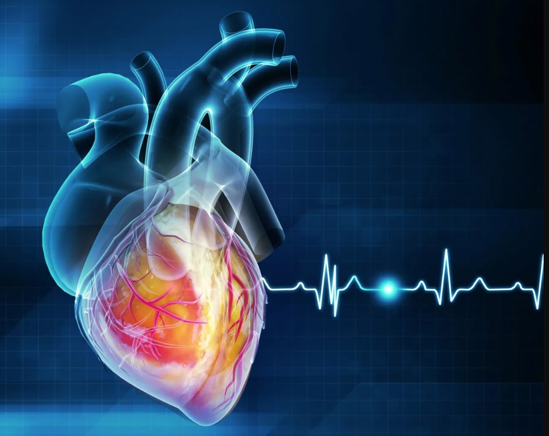 Heart attacks may be spreading like an infection.

Researchers have unearthed shocking evidence that challenges everything we thought we knew about heart disease.

A groundbreaking study from Finland and the UK suggests that some heart attacks may be triggered by hidden bacterial