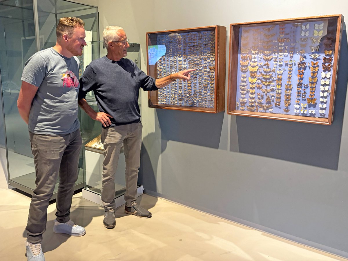 Wat een prachtige gift! Vlinderexpert Cees Maas heeft zijn vlinderverzameling aan Ecomare gedoneerd 🦋 De verzameling bestaat uit zo’n duizend dag- en nachtvlinders, in grote vitrines. De vitrines zijn tot en met de herfstvakantie in Ecomare te bewonderen: ecomare.nl/verdiep/nieuws…
