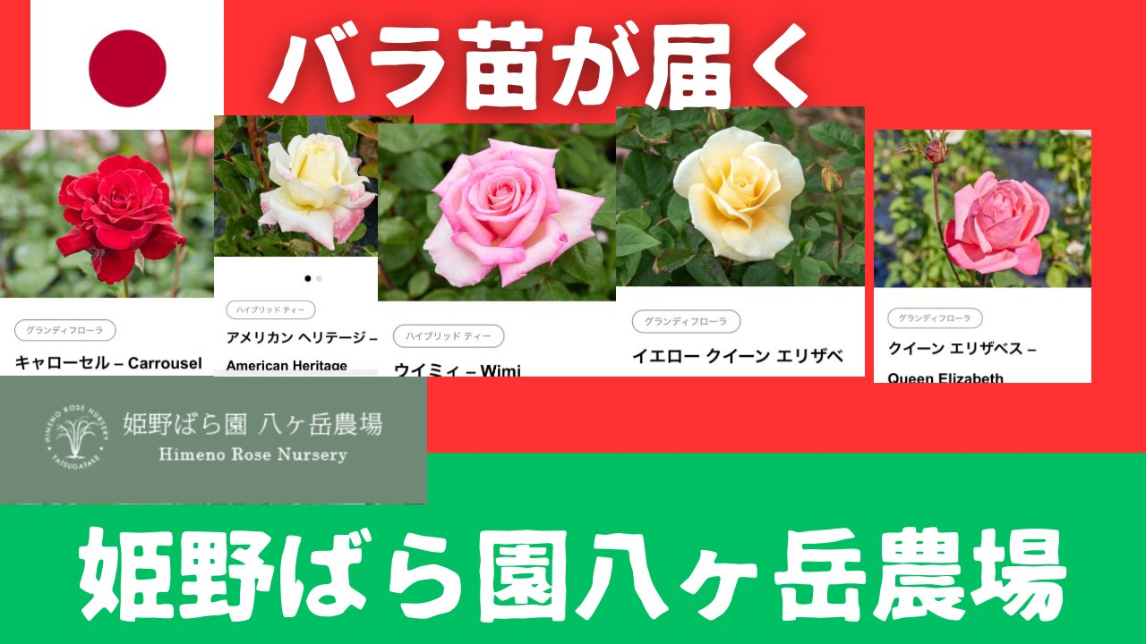 原口 一博 (@kharaguchi) / X