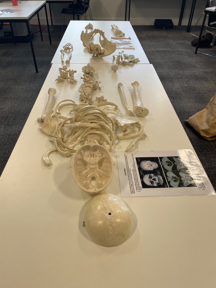 Our students had a whodunnit exercise in today’s induction week activity. They took fingerprints, compared bloodstains, examined hair and footwear marks, and even had a go at reconstructing a skeleton!