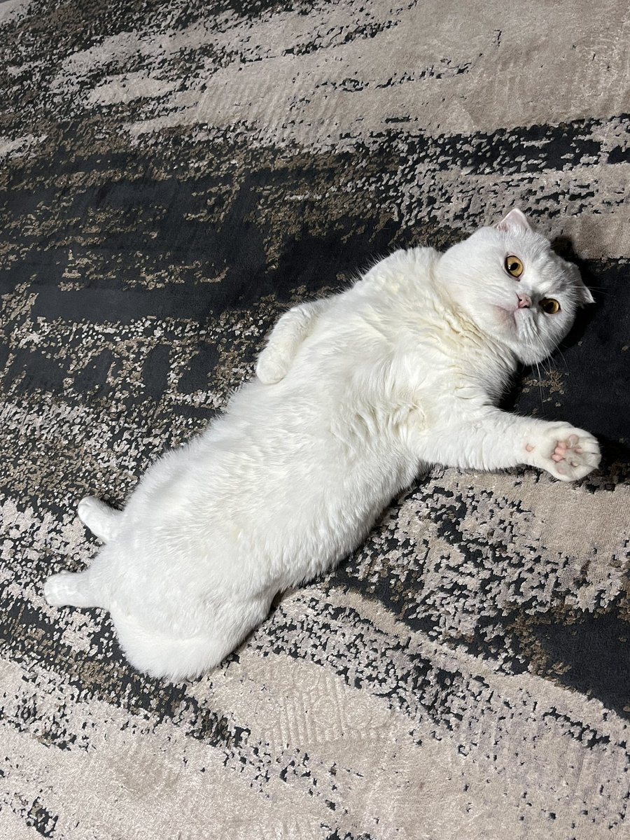 römesams tabnosu gibim oldugumu biniyovum