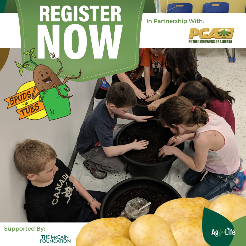 4AgForLife's tweet photo. Want to encourage your grade 3 - 9 students to get their hands dirty and learn about science, math and nutrition in a hands-on way? Our Spuds in Tubs Farm to School Program is the perfect project! 
Limited space, so register today! 
https://t.co/j8amDW2isk 
@AlbertaPotatoes https://t.co/u6P0JpWSf5