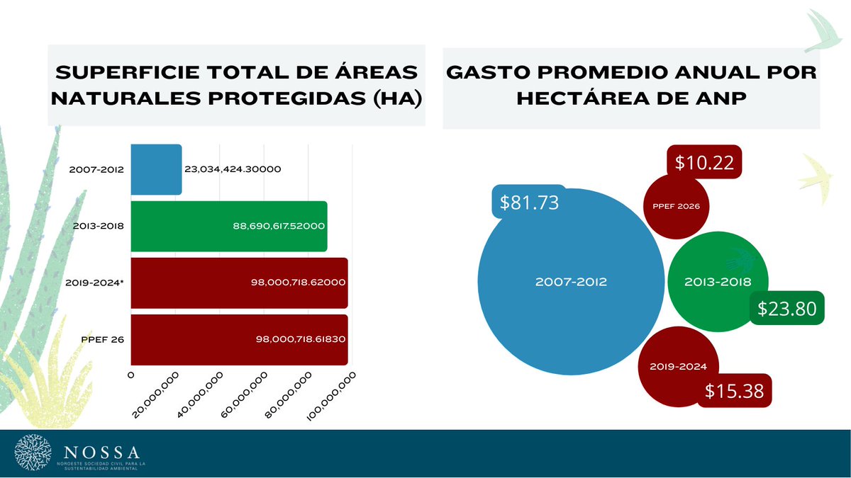 <a href="/MongabayLatam/">Mongabay Latam</a> <a href="/OceanaMexico/">Oceana en México</a> <a href="/terrahabitus/">Terra Habitus</a> <a href="/CCMSSAC/">Consejo Civil Mexicano para la Silvicultura</a> <a href="/betadiversidad/">Beta Diversidad</a> <a href="/WWF_Mexico/">WWF México</a> <a href="/CeibaOficial/">CeIBA AC</a> <a href="/SierraGorda/">Grupo Ecológico Sierra Gorda I.A.P.</a> <a href="/periodistagonzo/">Gonzalo Ortuño López</a> <a href="/ernesto_mendez/">Ernesto Méndez</a> <a href="/Atza_Cabrera/">Atzayacatl Cabrera</a> <a href="/albertotino/">Alberto Tinoco</a> <a href="/ephimere/">Fabian Carvallo V.</a> <a href="/xiyebastida/">Xiye Bastida</a> <a href="/cherry_weed/">Ruth Cerezo-Mota🌦️</a> 🔵 Las #ANP son más que paisajes: son la política de conservación más importante de México y una inversión estratégica para nuestro futuro.

⚠️ Sin presupuesto, se convierten en líneas en un mapa que la realidad se encarga de borrar.

El análisis👇
bit.ly/46esoWs