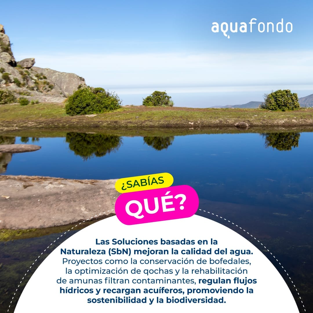 💧 La naturaleza también tiene respuestas frente a la crisis del agua. 🌍

Las #SbN —como bofedales, qochas y amunas— almacenan, filtran y regulan este recurso vital.

🌱 Protegerlas asegura agua limpia, ecosistemas sanos y comunidades resilientes.

#JuntosPorElAgua