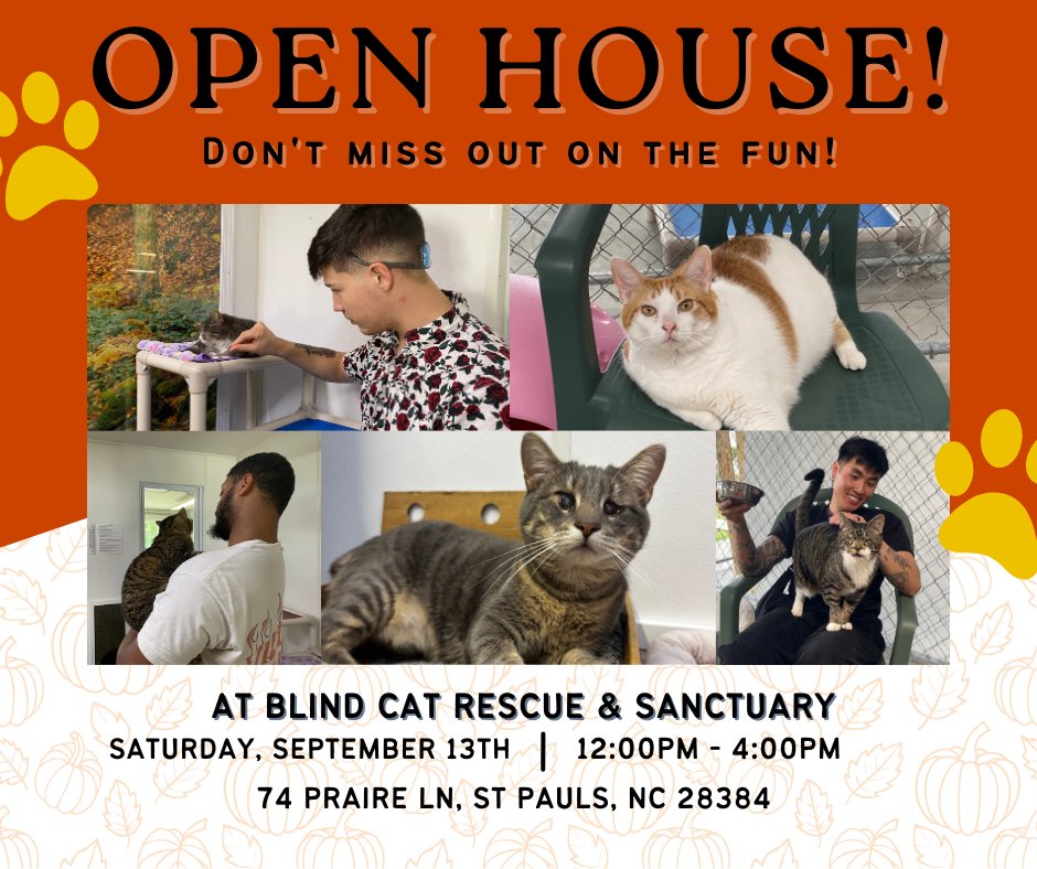 Join us for Open House on September 13th from 12pm-4pm! Enjoy air-conditioned rooms with a feline friend or if the heat doesn't bother you too much lounge in lawn chairs with a nice breeze on our catio! We hope to see you there! 😻🐾💙