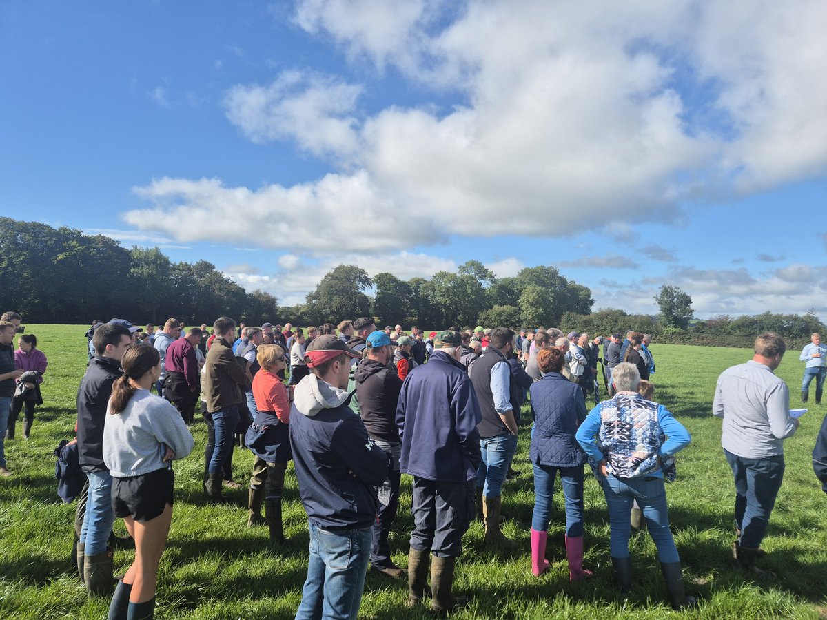 John Farrell tweet media