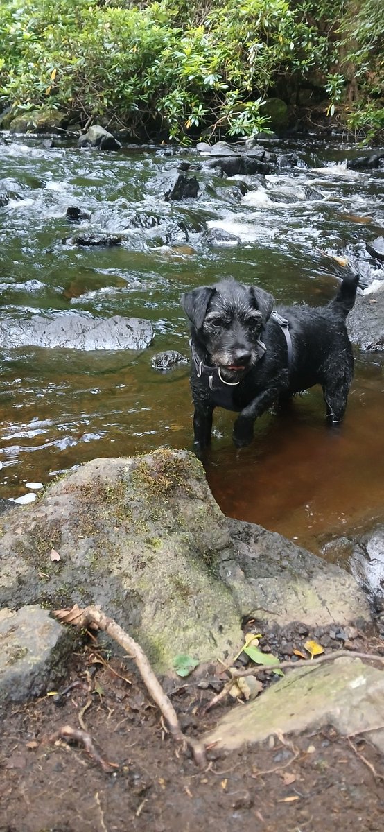 ❤️ Mull 🏴󠁧󠁢󠁳󠁣󠁴󠁿