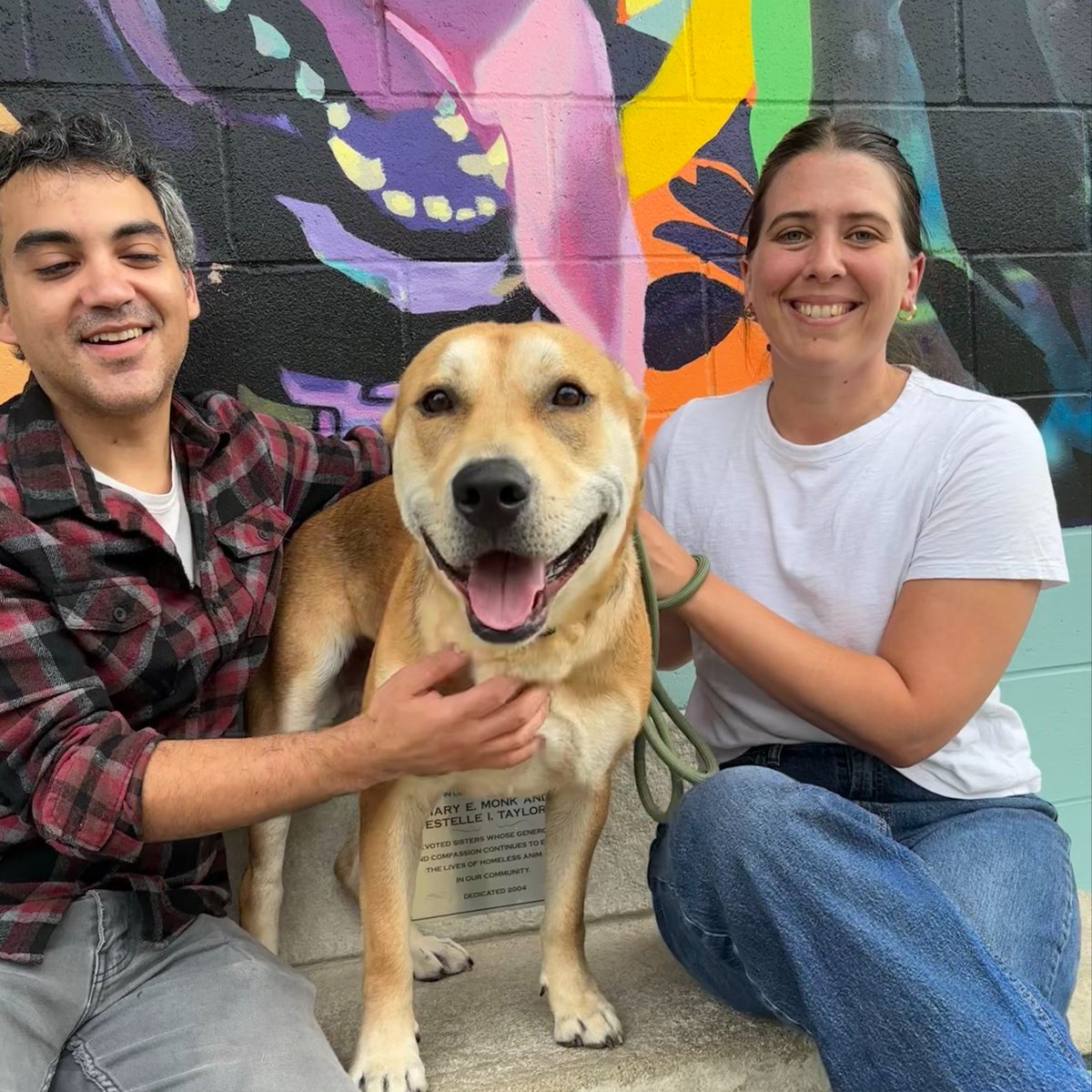 💚🐾 Adoption numbers from the last week! 🐾💚

Over the past week 134 dogs, cats, and rabbits found new homes, including Pilot!🐶🐱🐰

Congratulations to all the adopters and your new furry friends 🎉

Check out all of our adoptable pets: thehumanesociety.org/adopt/