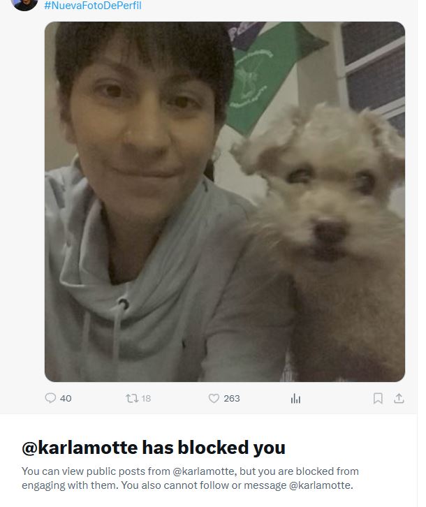 Los expedientes secretos 11 tweet media