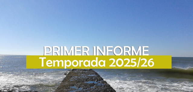 miramarinmo's tweet photo. Primer Informe de Promedios de Precios de Alquiler – Temporada 2025/26 - https://t.co/KdZOXgwr2b https://t.co/1ONBXaFtzA