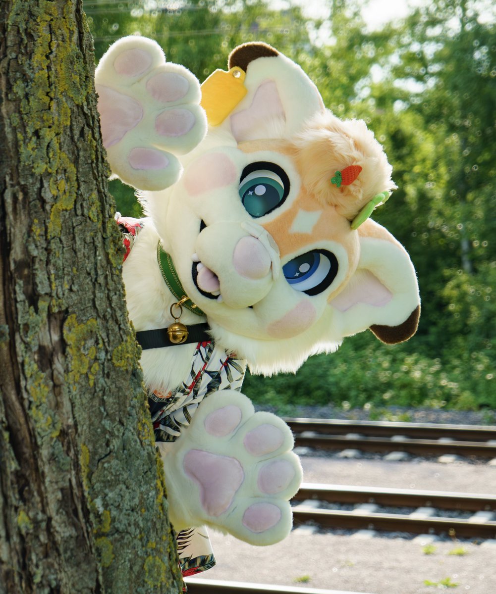 FURSUIT FOR SALE! 

My heart is bleeding.. but I have no choice.. I need the funds.. or I can‘t move out… 

PLEASE READ! Shipping is from Germany! ;; If u have any question please reagh out to me!