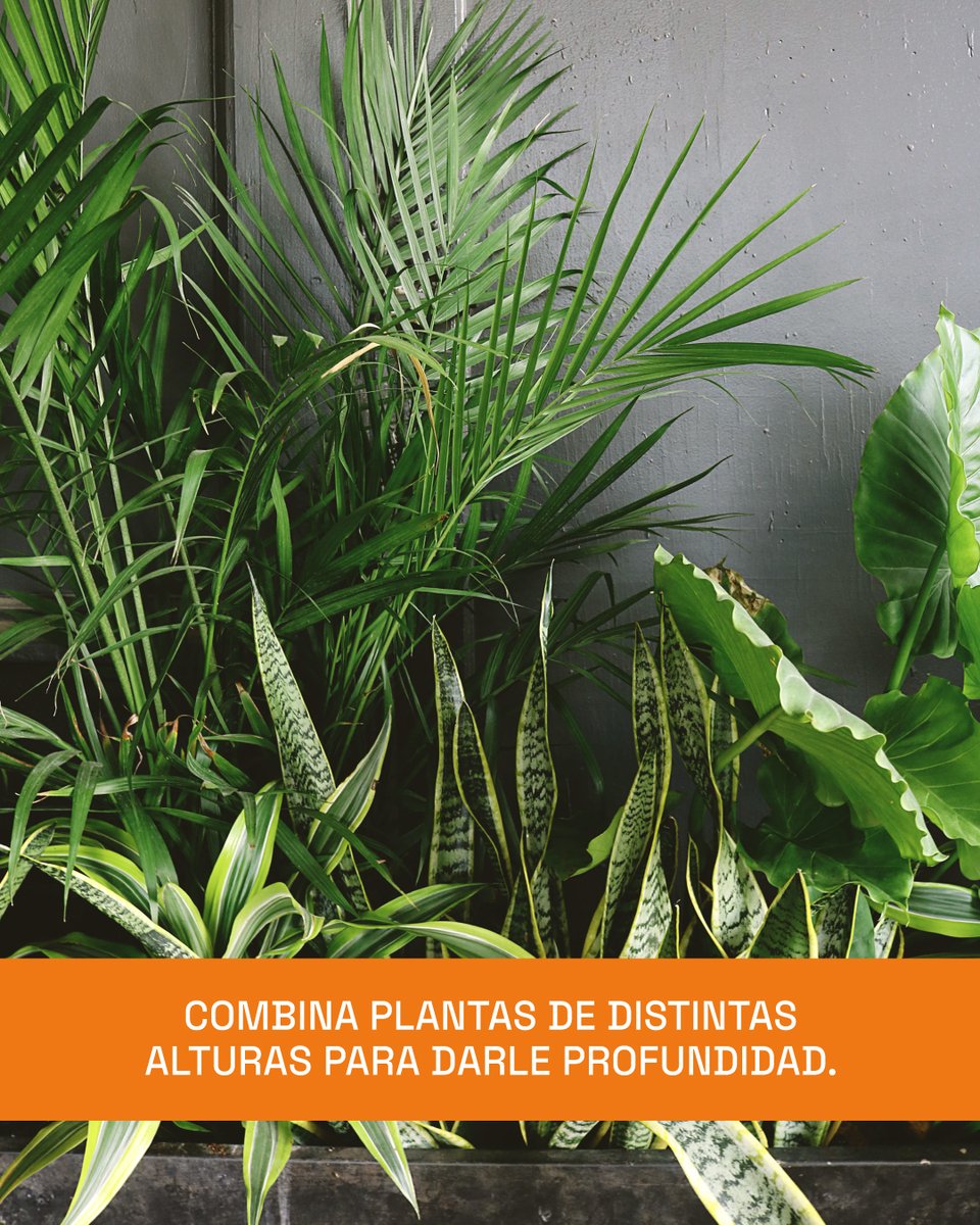 Más Chic tweet media