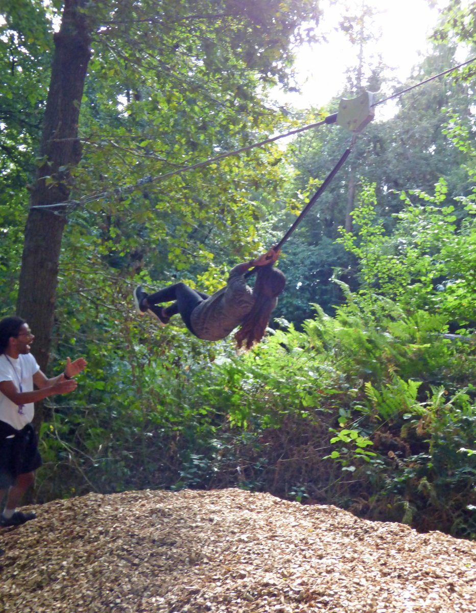 The Sheiling Ringwood tweet media