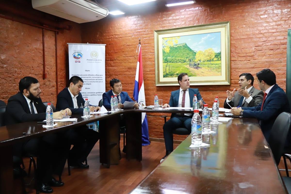 CONADERNA PARAGUAY tweet media