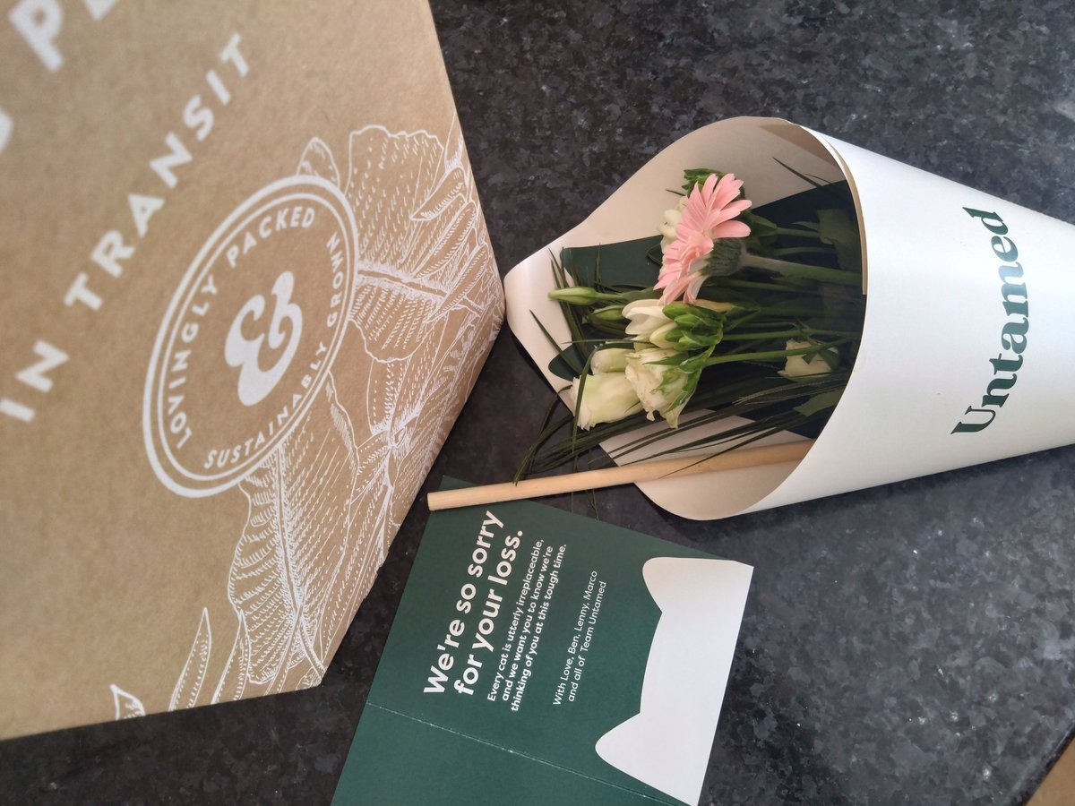 How lovely to receive a card and bouquet from Untamed Cat Food following the loss of my cat.
A really nice gesture.