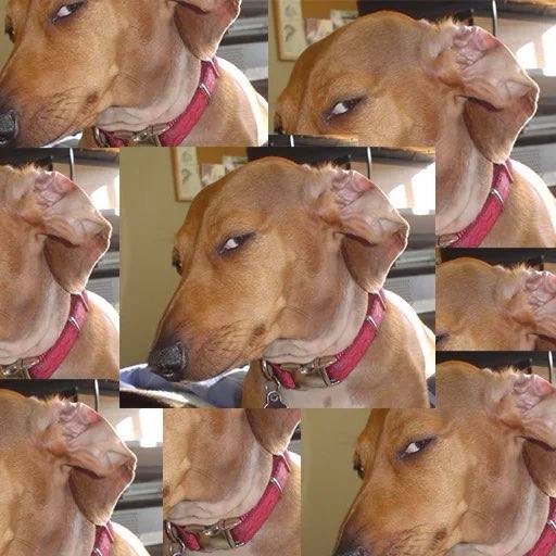 Yo, it's Sus Dog, on the case, sniffin' out the facts
Got my detective hat on, no detail's too whack
I'm on the scene, investigatin' the crime
Got my suspects lined up, they're all lookin' mighty fine

I'm a master of surveillance, got eyes on the street
Catchin' clues, makin'