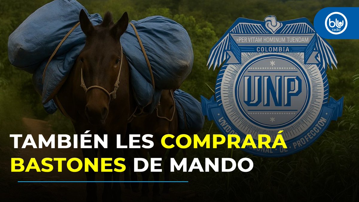 La <a href="/UNPColombia/">Unidad Nacional de Protección, UNP.</a>  comprará mulas para indígenas protegidos: esta es la explicación de su director bluradio.com/nacion/la-unp-…. Aquí la entrevista completa #MañanasBlu